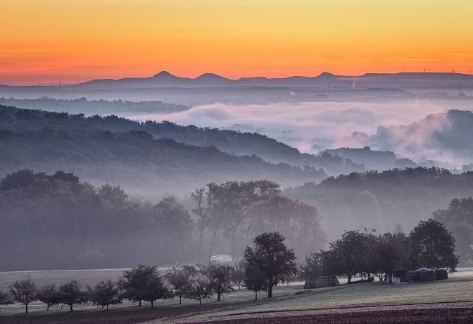 A beautiful sunrise breaks over a fog-laden valley, with trees standing tall amidst the ethereal morning mist