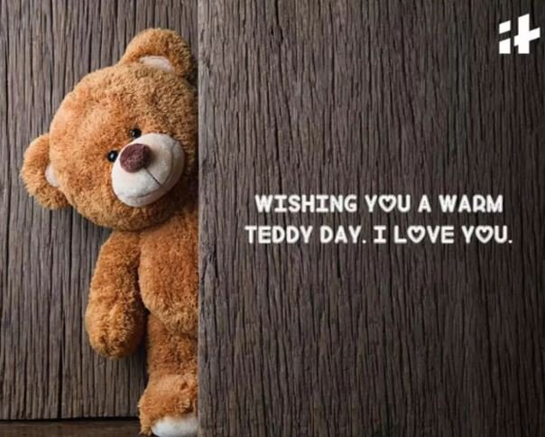 A heartfelt message wishing a warm Teddy Day, expressing love and affection with a cute teddy bear illustration.