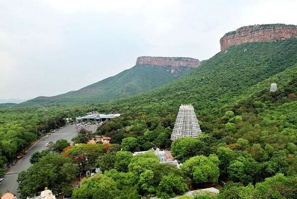 A serene Hindu temple nestled in a lush green forest, surrounded by tall trees and natural beauty.