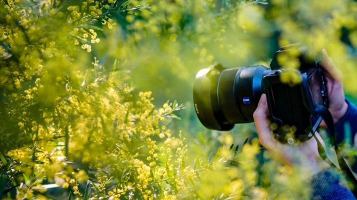A person capturing a photo of a lush green field under a clear blue sky, showcasing nature's beauty.