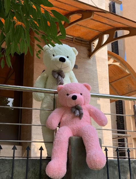Two plush teddy bears perched on a railing, showcasing their soft fur and friendly expressions in a cozy setting.
